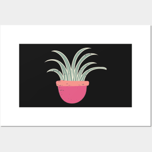 Aloe Vera Illustration | Pastel Posters and Art